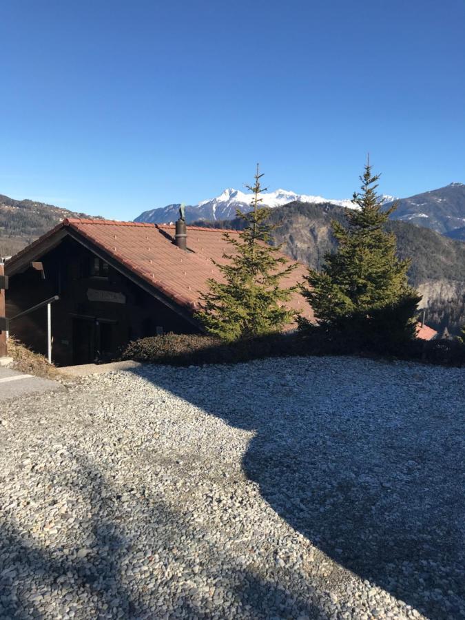 Chalet Siesta Ayent 外观 照片