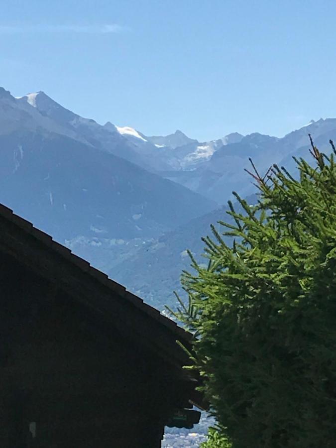 Chalet Siesta Ayent 外观 照片