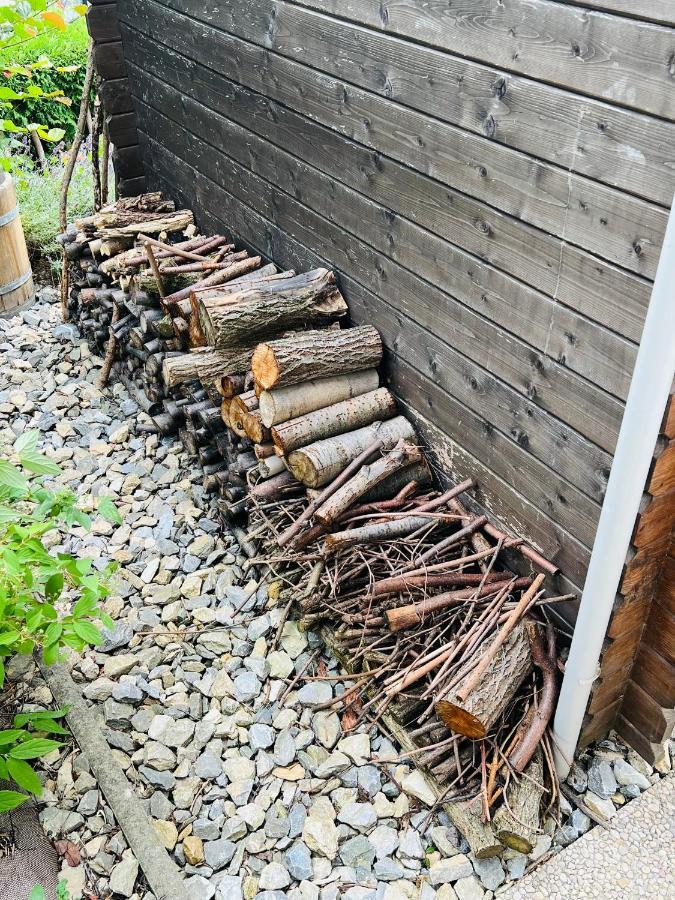 Chalet Siesta Ayent 外观 照片