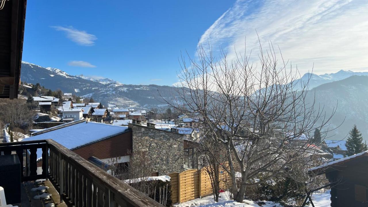 Chalet Siesta Ayent 外观 照片