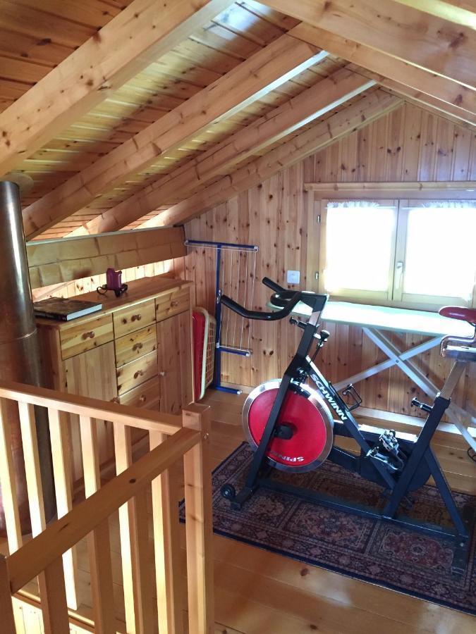 Chalet Siesta Ayent 外观 照片